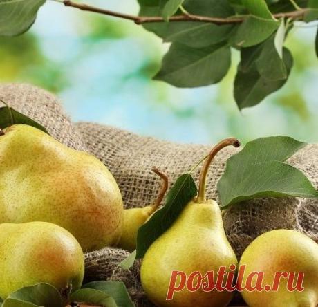 Заготовки на зиму из груш