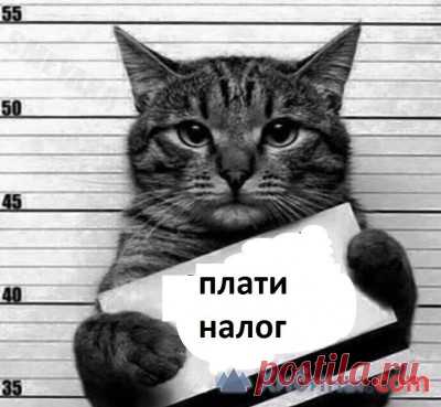 С 1 января Правительство РФ предложило платить за отопление по-новому