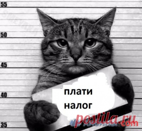 С 1 января Правительство РФ предложило платить за отопление по-новому