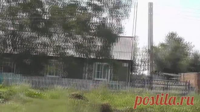 Виктор Бекк - 