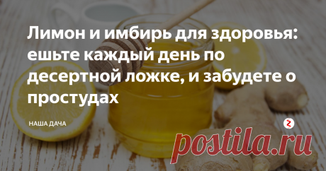 Лимон и имбирь для здоровья: ешьте каждый день по десертной ложке, и забудете о простудах    Как тот самый чукча из анекдота, который что видит, о том и поет, расскажу о наболевшем. Заранее извиняюсь, что не по теме канала – но надоело донельзя. Поэтому делюсь и с вами – простуда осенью редко кого обходит стороной.