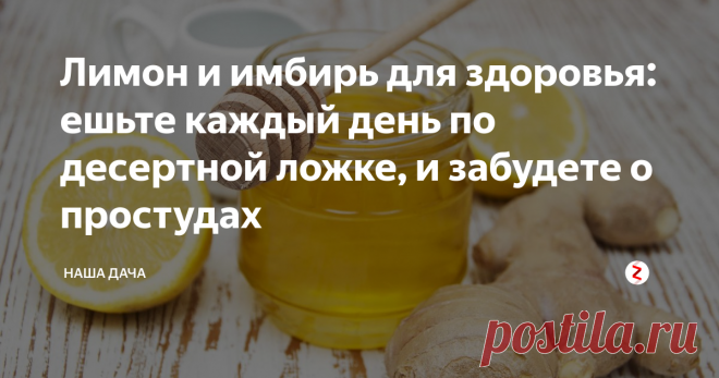 Лимон и имбирь для здоровья: ешьте каждый день по десертной ложке, и забудете о простудах    Как тот самый чукча из анекдота, который что видит, о том и поет, расскажу о наболевшем. Заранее извиняюсь, что не по теме канала – но надоело донельзя. Поэтому делюсь и с вами – простуда осенью редко кого обходит стороной.