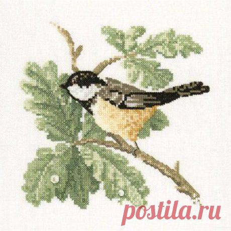 Птички-невелички: Coal Tit.