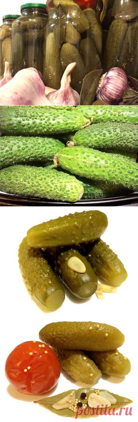 МОИ «СОЛЕНЫЕ» И МАРИНОВАННЫЕ ОГУРЦЫ | 4vkusa.ru
