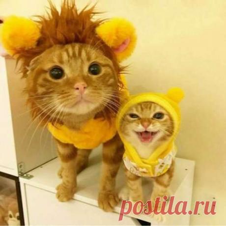 Опаньки, прикольные картинки и мемасы! (32 шт) . Тут забавно !!!