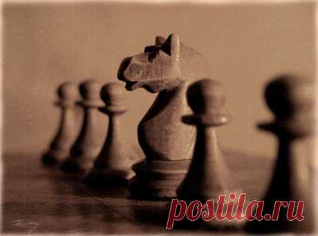 Фотография killer из раздела макро №1042060 - фото.сайт - Photosight.ru