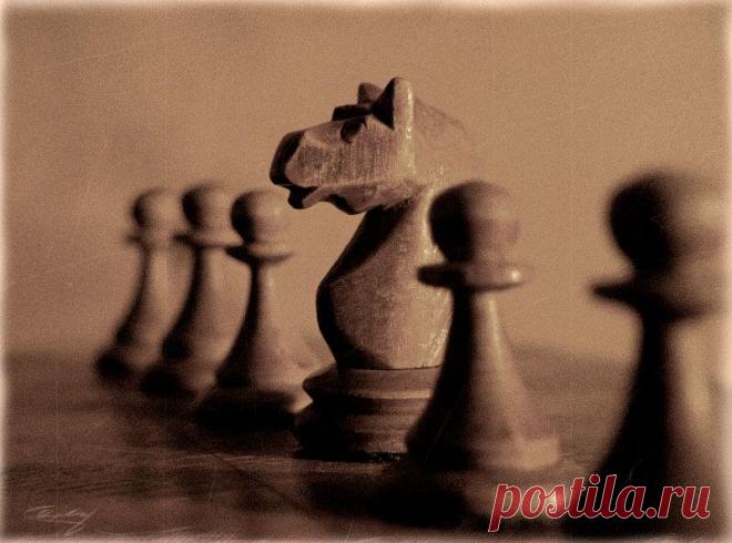 Фотография killer из раздела макро №1042060 - фото.сайт - Photosight.ru