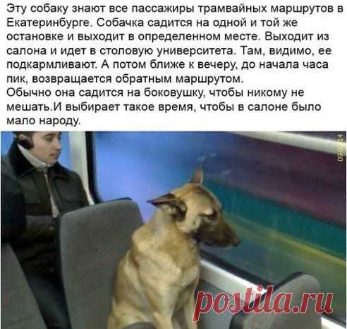 (59) Одноклассники