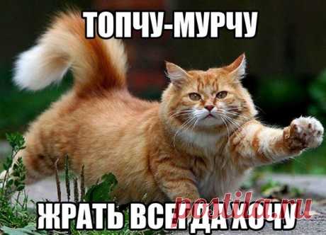 Дмитрий Ларьков