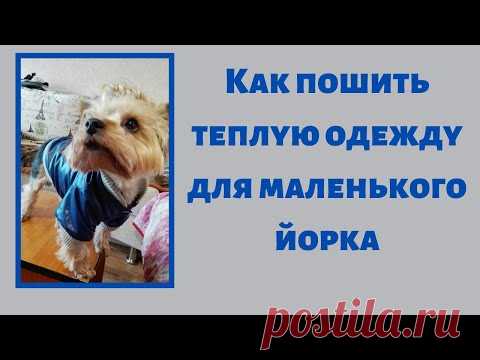 Как пошить теплую одежду для маленького Йорка. Выкройка, пошив.