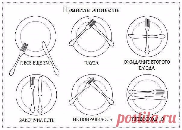 (3) Одноклассники