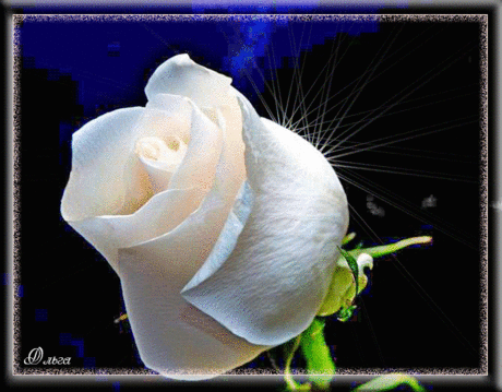 0_18bf6a_1a23cc0e_X5L (667×521)