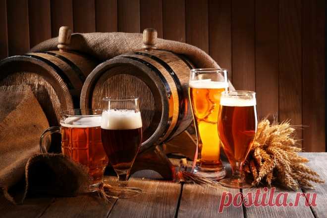 Хорошее плохое пиво//5 августа весь мир отмечает неофициальный праздник — Международный день пива. Один американский бармен почти 10 лет назад предложил собираться всем желающим в первую пятницу августа и радоваться жизнь под звон пивных бокалов. Неудивительно, что эта идея нашла бурный отклик в массах, ведь пиво — один из самых популярных напитков в мире. MedAboutMe поздравляет любителей пива и разбирается, как оно действует на организм человека