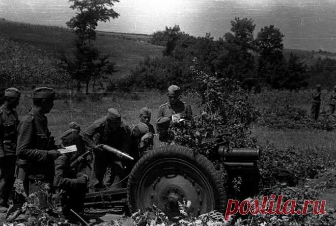 Военное счастье советского капитана-артиллериста Алексея Загоруйко