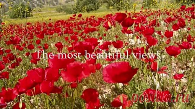 Follow Your Heart ♫♫ - John Sokoloff