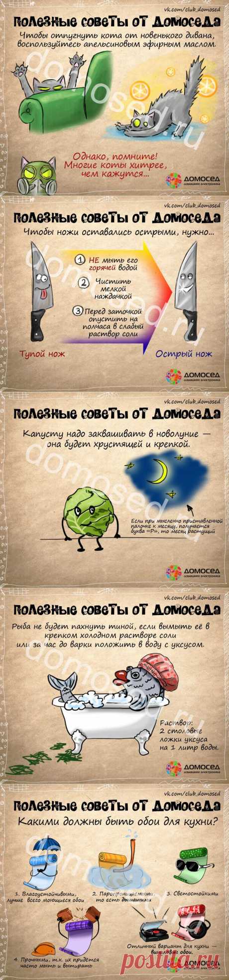 Маленькие хитрости от Домоседа