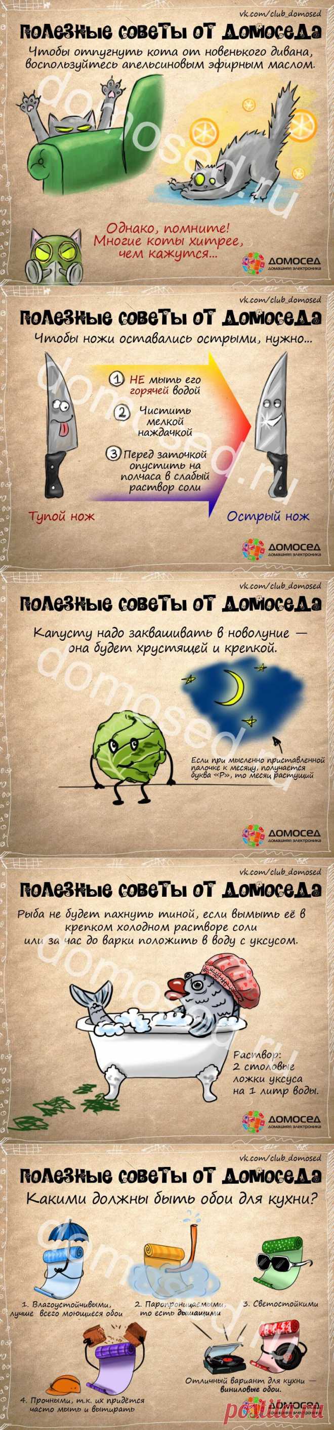 Маленькие хитрости от Домоседа