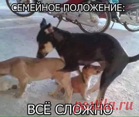 Одноклассники
