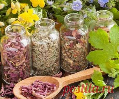 Лекарственные сборы для здоровья сердца: 5 рецептов С целью лечения и профилактики заболеваний сердца и кровеносной системы в народной медицине применяются различного рода лекарственные сборы. 