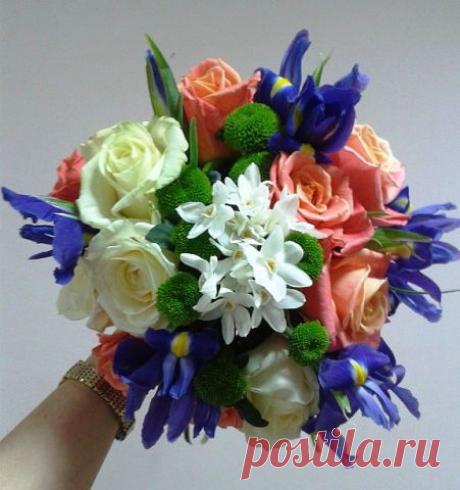 БУКЕТЫ ИЗ КОНФЕТ РЕКВИЗИТ ДЛЯ ФОТОСЕССИЙ
38 лет, Украина, Киев