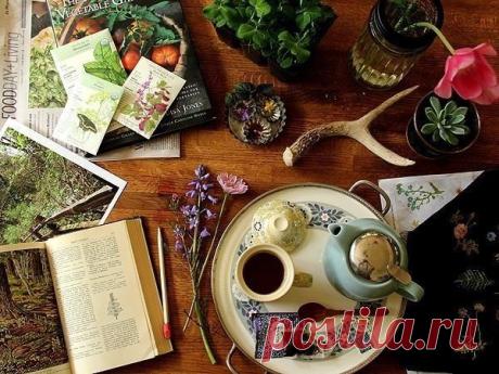 6 уникальных методов очищения.