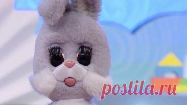 [тест] Кто ты из передачи «Спокойной ночи, малыши»? | Ты — Степашка!
Ты воспитанная, умная и очень рассудительная. Ты любишь читать, узнавать новое и всегда даешь мудрые советы. На тебя можно положиться, ты — тихая и надежная гавань для своих друзей. Твоя аккуратность и доброта вдохновляют окружающих.