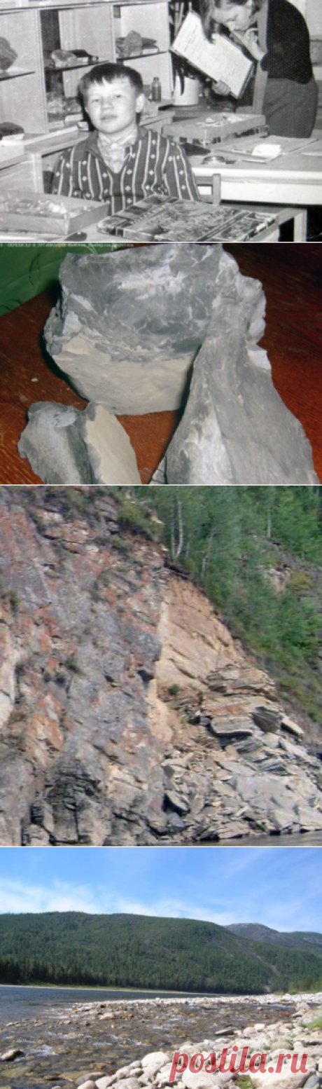 НАСТОЛЬНАЯ КНИГА ВОЛЬНОГО СТАРАТЕЛЯ