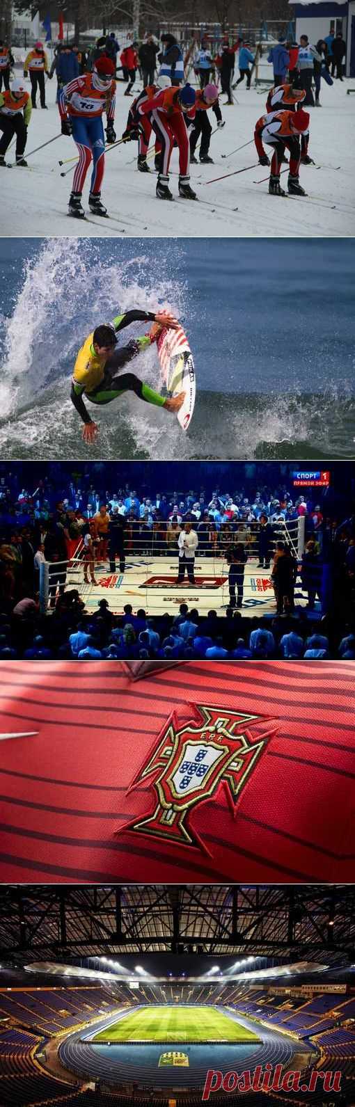 Каякинг, Прыжки в воду, Регби, Водное поло. (1/1) - Спортивный форум. - Спортивный сайт