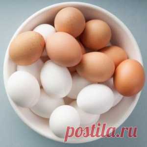 20 суперских фактов-подсказок, с которыми вы не пропадёте