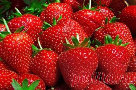 Два в одном - подкормка клубники и борьба с вредителями 
Моя подруга жалуется, что не успевает собирать ягоды - их так много. Утверждает, что секрет в этой подкормке. Может, кого-то заинтересует, попробуйте. 
Состав: 1 стакан золы залить 1-2 литрами кипятка, до остывания, 2гр. марганцовки, 2гр. борной кислоты (порошок), 1 ст. ложка йода. Золу процедить, все это на ведро воды.Сразу намешиваю в бочку и опрыскиваю ,до полного смачивания листвы. Это и подкормка микро и макро элементами и борьба с