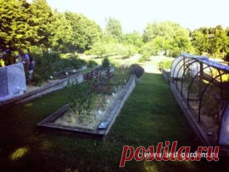Kumpulan: Ботанический сад в Хельсинки - Best-Gardens