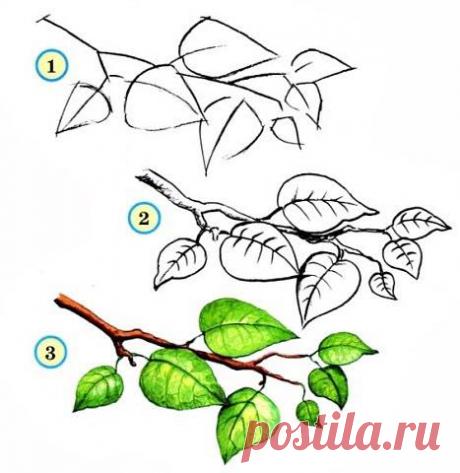 Вчимось малювати дерева: покрокові уроки для дітей та дорослих | Ідеї декору