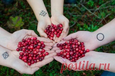 10 продуктов которые избавляют организм от накопленных токсинов Рубрика Здоровье: 10 продуктов которые избавляют организм от накопленных токсинов. Читай последние новости событий на Joinfo.ua