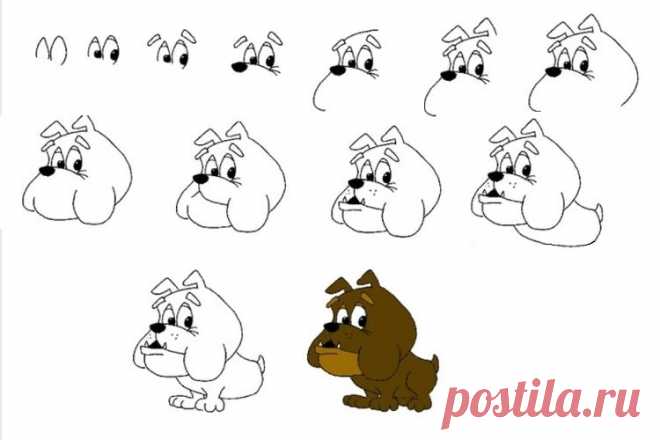 Как нарисовать собаку поэтапно | рисунок карандашом, для детей
