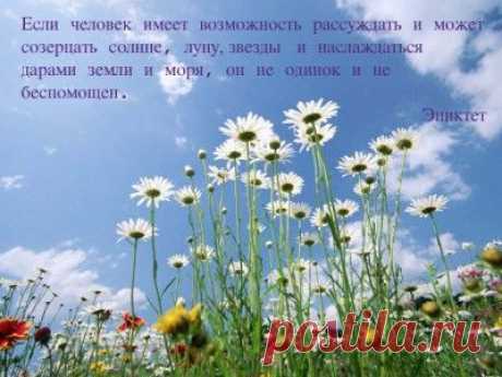 Средство от одиночества – притча о человеке