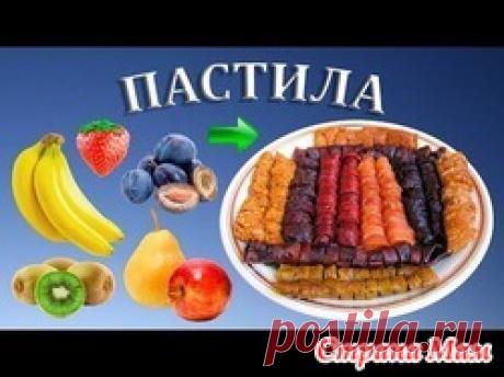 Девочки, Кому обещала выложить рецепты пастилы, все сюда! Пастила, Пастила, Пастила!!! Сушим, из всего.  Ловите! Много, Много рецептов!  Начало было здесь - "Ода сушилке!" : https://www.stranamam.ru/