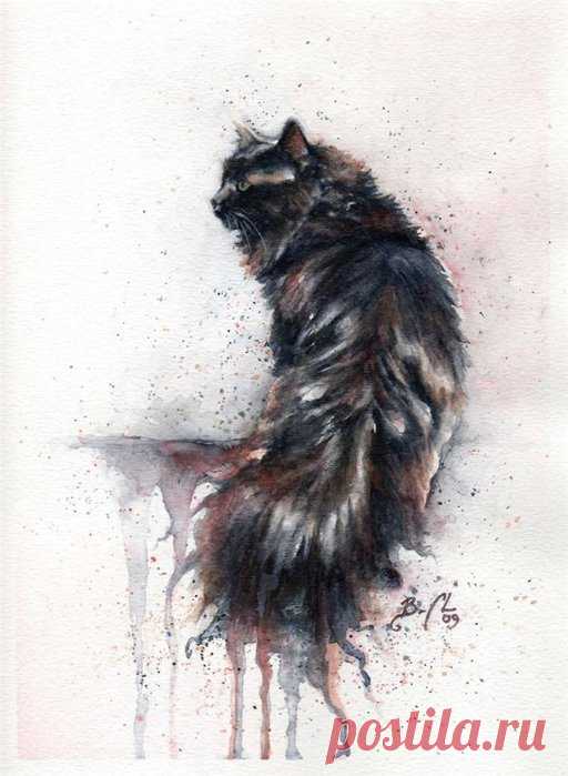 Художник Braden Duncan
