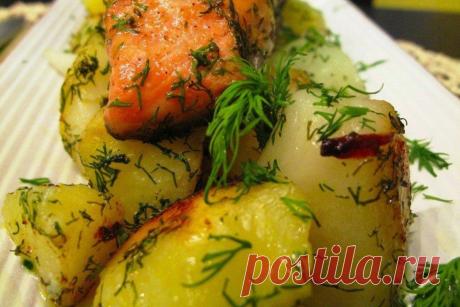 Как приготовить семга запеченная с укропом и картофелем - рецепт, ингридиенты и фотографии
