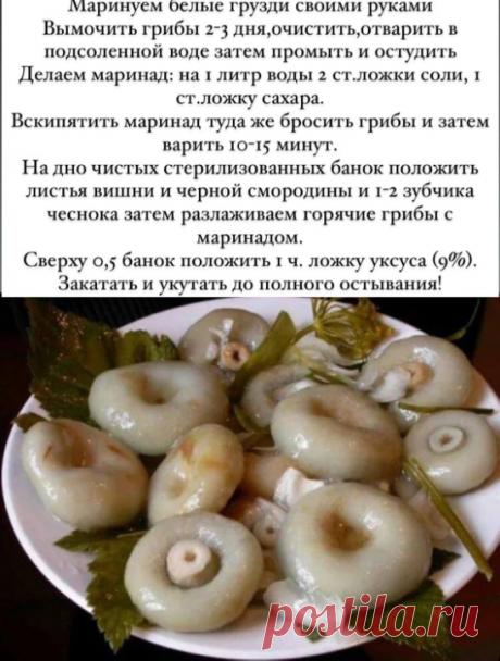 В баночку стоит положить листья вишни

Для придания лучшего вкуса