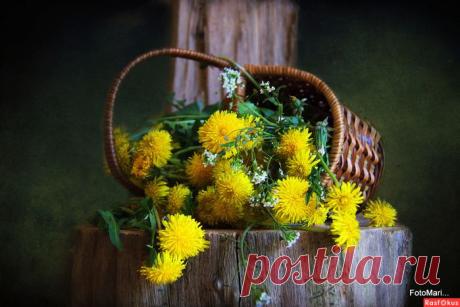 Просто красиво! Фотонатюрморты..