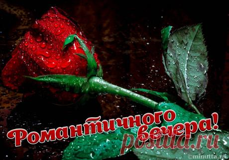 Открытки бесплатно | Минутта minutta.ru