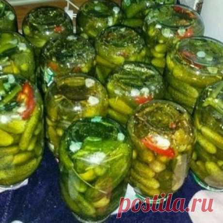 Рецепт на пробу! Консервируем огурцы холодной водой…