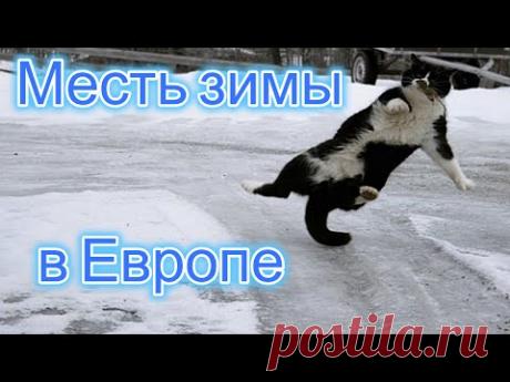 Удар природы по Европе 2024. Месть зимы! Сегодня снежный апокалипсис в Норвегии и Швеции.