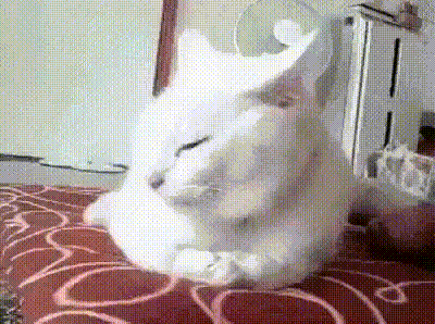 - Одна котлета... одна грёбанная котлета! А выслушиваю уже третий час...
