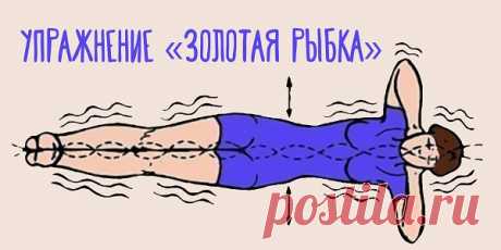 Упражнение для позвоночника «Золотая рыбка».