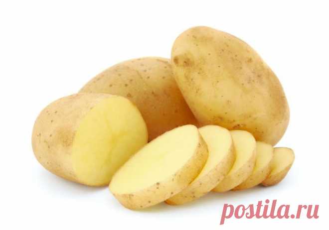 Сорт картофеля 