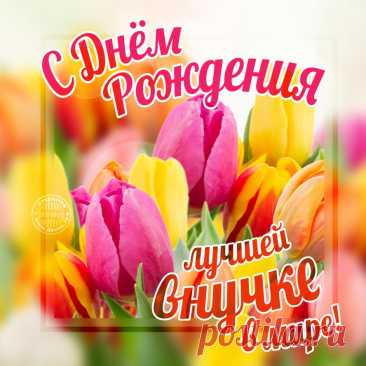 Красивые открытки с днём рождения внучки часто украшаются нежными цветами, воздушными шарами и милыми детскими рисунками, передавая всю глубину любви и гордости за подрастающее поколение.