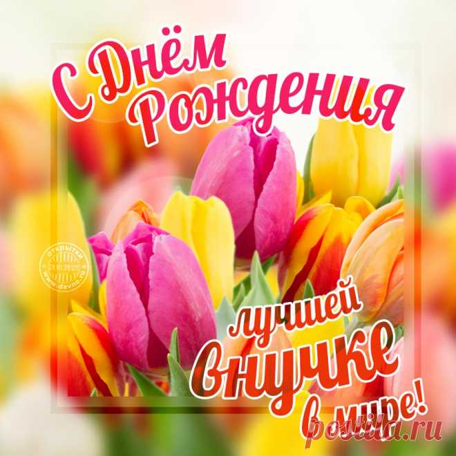 Красивые открытки с днём рождения внучки часто украшаются нежными цветами, воздушными шарами и милыми детскими рисунками, передавая всю глубину любви и гордости за подрастающее поколение.