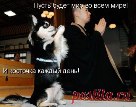 Как объяснить коту, что пришло его время меня содержать???