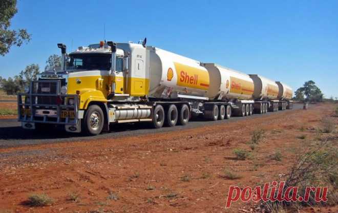 Интересные и познавательные факты об Австралии / Туристический спутник